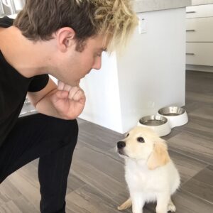 Bart Baker Instagram - Staring Competition Round 2 😂 w/ @itsbentleybaker 👈🏼 Follow @goldenretrievers 🐶 Bentley is featured on there today!