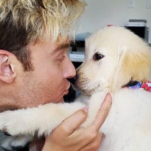 Bart Baker Instagram - I ❤️ HIM! New vlog just went up where we first meet him - Warning - we both cry 😭 it was emotional - Link in my profile! Like & Tag 3 friends if u love puppies! @itsbentleybaker