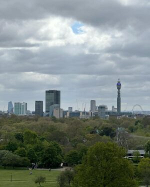 Beatie Edney Instagram - Button and the view from Primrose Hill during the London Marathon. #marathon #london #rescuedog