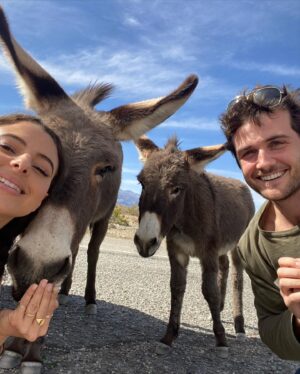 Beau Mirchoff Instagram - We ran into wild donkeys near Death Valley!