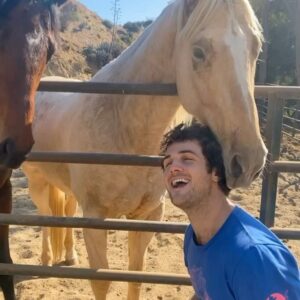 Beau Mirchoff Instagram - I highly recommend a good horse head massage.
