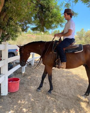 Beau Mirchoff Instagram - Bought me a horse! 😄😄😄😄😄😄😄