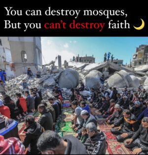 Belal Muhammad Instagram - 