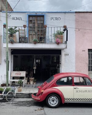 Ben Aldridge Instagram - Mexic’Ho dump