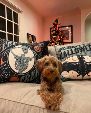 Ben Savage Instagram - Welcome to October 🎃