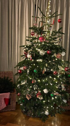 Ben Shephard Instagram - Ahhhh #TeamShep have put the tree up - actually @annieshepharddesign along with extended family did the heavy lifting. I obviously wasn’t allowed to get near it, other than lights and booze for all the decorators. Needless to say I completed my part of the job with trade mark commitment which explains why the tree is on the wonk and there’s lights all over it! 🤪🥳

#happychristmas #imforeverblowingbaubles 
#morelights