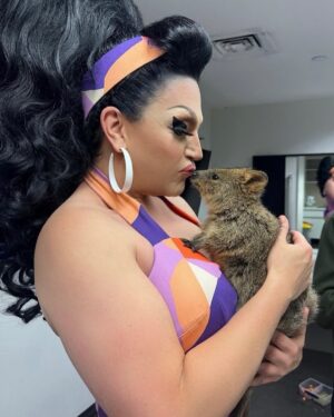 BenDeLaCreme Instagram - My favorite meet and greet on the Australian tour so far! These lil critters are so sweet and loving I can tell if they were human and American they would vote blue rather than third party because, while their ideals are noble, this is the long game and we won’t be able to expand a two party system into a multiple party system if the whole damn thing becomes a one party system. @wildlifehqzoo