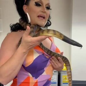 BenDeLaCreme Instagram - My favorite meet and greet on the Australian tour so far! These lil critters are so sweet and loving I can tell if they were human and American they would vote blue rather than third party because, while their ideals are noble, this is the long game and we won’t be able to expand a two party system into a multiple party system if the whole damn thing becomes a one party system. @wildlifehqzoo