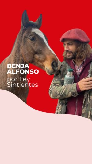 Benjamín Alfonso Instagram - ¡Gracias Benja por ser parte de este movimiento por los animales! ❤️

Benjamín Alfonso te invita a firmar y compartír la petición de #LeySintientes (Link en bio) para que los animales dejen de ser considerados “cosas” en el Código Civil y Comercial Argentino. ✊🏻❤️

✍🏻 ¡Hacé como Benja firmando y compartiendo nuestra petición para ayudarnos a llegar a 1 millón de firmas!

#DerechosAnimales #Argentina #SintienciaAnimal

.

Thank you, Benja for being part of our animal rights movement! ❤️

Benjamín Alfonso invites you to sign and share the petition of SENTIENT LAW (Link in bio) so that animals are no longer considered “things” in the Civil and Commercial Code of Argentina. ✊🏻❤

✍🏻 You can sign and share our petition as Benja did and help us reach 1 million signs!

#AnimalRights #Argentina #AnimalSentiet