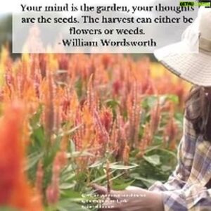 Benjamin Donlow Instagram - Your mind is the garden, your thoughts are the seeds. The harvest can either be flowers or weeds. 🌱🌸 Choose to nurture positive thoughts and watch your life bloom beautifully. Your mindset shapes your reality, so plant seeds of hope, love, and resilience.

What positive seeds are you planting today? Share below!

.
.
.
For more daily personal development,  mindset, Positivity and motivation 
Follow @theempoweredgirl5 @create.your.own.sunshinexo @dieseldonlow @dieseldonlowcompany .
.
.
.
#PositiveMindset #NurtureYourThoughts #MindfulLiving #PersonalGrowth #Empowerment #Motivation #Inspiration #PositiveVibes #TheEmpoweredGirl5
#ExploreDreamDiscover #NoRegrets #ChaseYourDreams #TakeRisks #LiveFully #PersonalGrowth #Empowerment #Motivation #Inspiration #PositiveVibes #TakeTheLeap #AdventureAwaits #DreamBig 
.
[Personal Development,  Mindset, Motivation,  Gratitude, PositiveMindset, Blessings, Mindfulness, HappinessJourney, TransformYourLife, EmbraceTheGood, Want More in 2024]