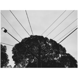 Benjamin Millepied Instagram - Pay attention to what you pay attention to. #deborahlevy #Sydney