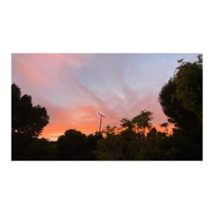 Benjamin Millepied Instagram - 