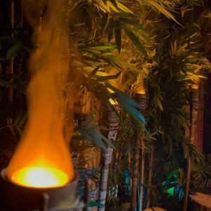 Benoît Assadi Instagram - On a revécu KohLanta au Musée Grévin 😁
Incroyable expérience, un espace dédié à l’émission magnifique, un personnage de Denis plus que réaliste et une visite de musée incroyable avec beaucoup de nouveautés ! 🤩

Merci encore.

#KohLantaLexperienceGrevin
#GrevinParis
@grevin_paris @kohlantaTF1 @denisbrogniart_off
En collaboration avec Grevin