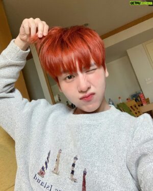 Benz Panupun Vongjorn Instagram - Ginger🍪