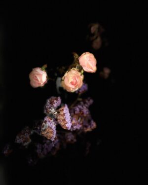 Berfu Öngören Instagram - Böyle fotograflar çekmiştim:) vol 1 
.
.
#home #flowers