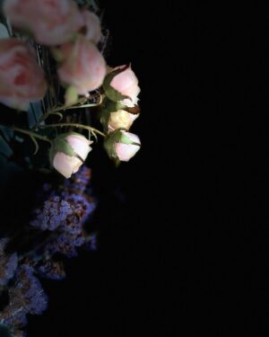 Berfu Öngören Instagram - Böyle fotograflar çekmiştim:) vol 1 
.
.
#home #flowers