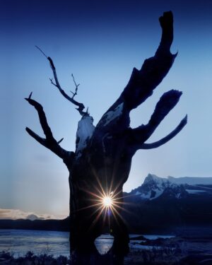 Berk Hakman Instagram - 9/4/2019 ıssızlık... #chile #patagonia #patagoniachile #torresdelpaine 🇨🇱 #travelphotography #earthpix #photography #travel #nature #naturephotography #benimkadrajim #500px #vsco #beautifuldestinations #discover_earth  #şili #vsco #nationaldestinations #discover_earth #ig_chile #ig_argentina #ig_patagonia #shutterstock #instagood #allshotsturkey #objektifimden #folkgreen