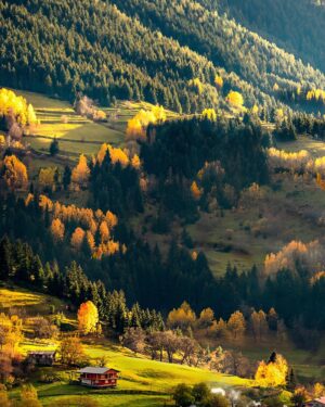 Berk Hakman Instagram - Şavşatto,Ekim/2021

 #artvin #savsat #türkiye #foto #fotoğraf #kadrajturkiye #fotoğrafçılık #fotoğrafheryerde #fotografdukkanim #photography #photo #fotografias #fotografia #travelphotography #naturephotography #nature #village #köy #travel #kadraj_arkasi #kadrajimdan #allshotsturkey #objektifimden #turkobjektif #shutterstock #500px #photooftheday #objektifimdenyansiyanlar #beautifuldestinations #nationaldestinations