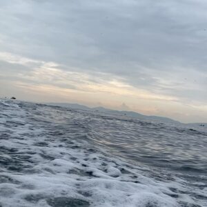 Berkay Ateş Instagram - Dünyada bir yerdeyim🐙