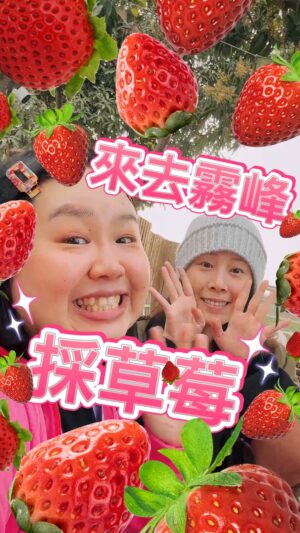 Berry Wen-i Kuo Instagram - 我說 #霧峰 有 #草莓園 居然沒有人相信！！！？
只好帶著 #爆花 去一探究竟😎

殊不知這位小姐居然是第一次 #採草莓 😳
整個事件瞬間上升到青春又熱血的層面🫶

#霧峰草莓園 今年是營運的第一年！
老闆阿旺哥是個超熱情的人🤩

到霧峰走走又多一個新選項啦～
草莓採起來🍓🍓🍓

#霧峰景點 #霧峰區 
#大文的日常生活
#大文