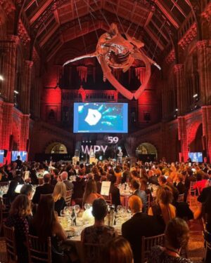 Bertie Gregory Instagram - I’m very excited to be a winner at this year’s Wildlife Photographer Of The Year competition @nhm_wpy! This image of three wave washing killer whales hunting a Weddell seal picked up the ‘Behaviour: Mammals’ category prize at last night’s awards ceremony at the Natural History Museum in London. While I was the one lucky enough to push the shutter button, this image was a huge team effort and based on over a decade of work from several different groups. So a huge thank you to the BBC Frozen Planet 1 team who first filmed this incredible behaviour for television back in 2009. Thank you to the Frozen Planet 2 team who I returned with 10 years later to follow the behaviour for the first time with drones. Finally, thanks to the ‘Animals Up Close’ team at @wildstarfilms who I worked with most recently to document these killer whales. Check out the ‘Antarctic Killer Waves’ episode on Disney  to see the pod pictured in action! @bbcearth @natgeo