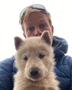 Bertie Gregory Instagram - We interrupt your regularly scheduled programming to bring you this breaking news: sled dog puppy party!  We bumped into these little ones while filming in the Canadian Arctic for a new secret project. The puppies are sadly not the filming subject. Photo by @ntgates, featuring @hollytarplee and @howardbourne #dogsofinstagram #puppy #puppyparty #puppylove #internationaldogday