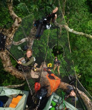 Bertie Gregory Instagram - #CanopyCampLife! Our rope experts @waldo_etherington and @meg_and_onaldson rigged this tree house allowing us to film, sleep and eat high in the trees as the elephants went about their business underneath us. Due to a long history of poaching and their thick jungle home, forest elephants understandably get very grumpy when they bump into humans. So by staying off the forest floor, we could film while the elephants did their thing undisturbed. Also featured in these pics is director @markmcc01 and sound recordist @justdrewsound. 

Many people seem to be very curious as to how we went to the bathroom. It involved a bag, good balance, good aim and careful positioning of the climbing harness straps! Supporting us in the trees, we owe a huge thanks to the local team who put in some serious heavy lifting helping carry in and out the jungle all the ropes, filming platforms and hanging tents. More on them soon! Photographed in @dzanga.sangha National Park for the ‘Elephant Quest’ episode of ‘Animals Up Close’ now streaming on Disney ! #AnimalsUpClose @wildstarfilms @natgeotv @remote_ropes_ltd