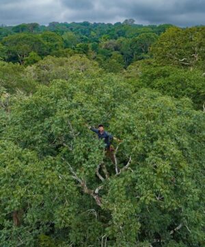 Bertie Gregory Instagram - #CanopyCampLife! Our rope experts @waldo_etherington and @meg_and_onaldson rigged this tree house allowing us to film, sleep and eat high in the trees as the elephants went about their business underneath us. Due to a long history of poaching and their thick jungle home, forest elephants understandably get very grumpy when they bump into humans. So by staying off the forest floor, we could film while the elephants did their thing undisturbed. Also featured in these pics is director @markmcc01 and sound recordist @justdrewsound. 

Many people seem to be very curious as to how we went to the bathroom. It involved a bag, good balance, good aim and careful positioning of the climbing harness straps! Supporting us in the trees, we owe a huge thanks to the local team who put in some serious heavy lifting helping carry in and out the jungle all the ropes, filming platforms and hanging tents. More on them soon! Photographed in @dzanga.sangha National Park for the ‘Elephant Quest’ episode of ‘Animals Up Close’ now streaming on Disney ! #AnimalsUpClose @wildstarfilms @natgeotv @remote_ropes_ltd