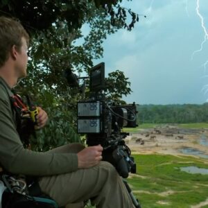 Bertie Gregory Instagram - This big lightning bolt was the beginning of a long night in the trees. Just after I flinch in this video, you can see me reach down to hit the record button. I had the camera in ‘pre-roll’ mode meaning it constantly caches the previous 4 seconds. It’s a very useful function in wildlife film as it allows you to capture unexpected moments without having to burn through memory recording all the time. Hats off to @markmcc01 for capturing the view over my shoulder as his camera didn’t have pre roll so he had to be ready old school! Filmed in @dzanga.sangha National Park for the ‘Elephant Quest’ episode of ‘Animals Up Close’ now streaming on Disney ! #AnimalsUpClose @wildstarfilms @natgeotv
