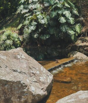 Betina Schmidt Instagram - na terra, mais pertinho do céu 🍃