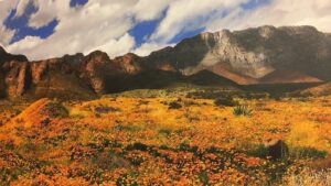Beto O'Rourke Instagram - Castner Range will now become a National Monument!

Over 10,000 years of human history in one of the most staggeringly beautiful places on the planet will now be preserved forever for this and future generations. 

THANK YOU to President Biden, Congresswoman Escobar and the El Paso community (Judy Ackerman, I know you’re smiling up there) who have been dreaming, working and fighting for this for decades!