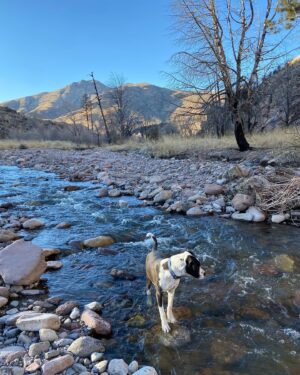 Beto O'Rourke Instagram - Took the dogs on a backpack along Las Animas creek in the Black Range of NM. Beautiful. Cold at night. Made it up to Massacre Canyon where there’s a memorial to the Buffalo Soldiers from the 9th Cavalry who were killed in ambush by Victorio and his band of Ojo Caliente Apache in 1879.