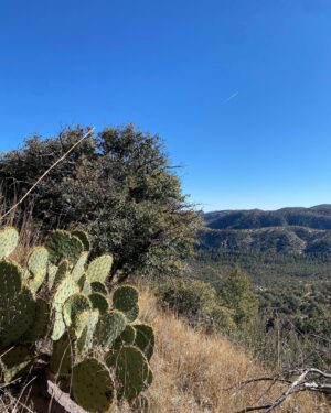 Beto O'Rourke Instagram - Took the dogs on a backpack along Las Animas creek in the Black Range of NM. Beautiful. Cold at night. Made it up to Massacre Canyon where there’s a memorial to the Buffalo Soldiers from the 9th Cavalry who were killed in ambush by Victorio and his band of Ojo Caliente Apache in 1879.