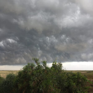 Betül Çobanoğlu Instagram - #nofilter #nature #clouds #estigürlediyağmadı