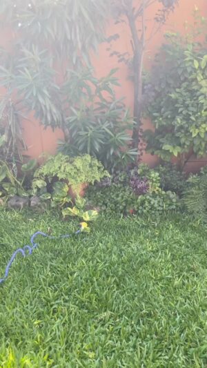 Bicho Gómez Instagram - Un calor agobiante! Cuerpos ardientes!! Y una belleza al natural para que refresquen sus mentes!!
#calor
#verano