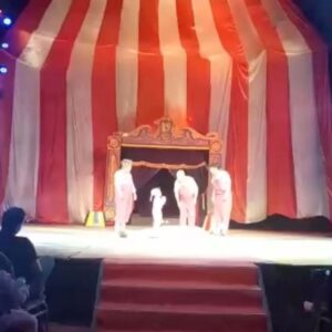 Bicho Gómez Instagram - La magia del circo! Esta Hermosura que se pasa de generación en generación así como cada uno de nosotros empezamos aquí el PEQUEÑO BRUNO ya arriba del escenario empezando la séptima generación de la familia. Mientras esto suceda el circo nunca va a desaparecer. @cirquexxi.oficial 
@fabian_cirque 
@pao_cirque_ 
@camilitaa1 
@richard_illan 
@chulopez99 
#circo 
#familia 
#payasos