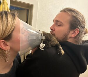 Billie Barker Instagram - Kreket har fått på seg krage og det andre dyret er en tyrann