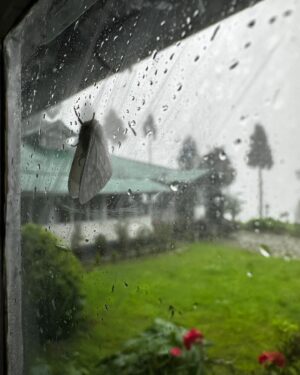 Birsa Dasgupta Instagram - Through a glass darkly..

Yule Tea Retreat 
Andrew Yule Tea Estate 
5th of July, 2024

@yuletearetreat 

#reflection #reflections #window #windows #rain #raindrops #tea #bungalow #nature #heritage #himalayas #mountains #painting #love #life #photography #iphonephotography #photogram #instamood #instavibes #instahappy #instagood