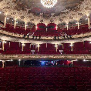 Bjarne Mädel Instagram - #dankbarkeit @schauspielhaushamburg #randvollehütte @fritzihaberlandtofficial #betty Stucky #andré jung = goat #schönster Platz der Welt #danke Hamburch #Lesung „bin nebenan-Monologe für zuhause“ Ingrid Lausund @speaklow_berlin #Hörbuch #extrem dräuendes Gefühl #ausverkauft
