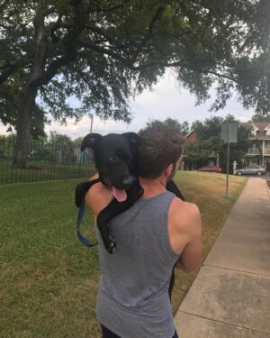 Blaine Gibson Instagram - Happy Gotcha Day, Dutch. This marks 3 years with my baby boy. I could write a book about how this dog has improved my life, but instead I’ll tell y’all one of my favorite rituals. Every day at around 6:30 AM, I’ll wake up to Dutch sitting next to the bed. If I don’t wake up from his wagging tail, then he’ll whine softly or sneeze at me. That’s my cue to move over toward’s Cristen’s side so that Dutch can jump into the bed and curl up next to me for another hour or so of sleep. It’s the cutest shit ever.

If any of you are considering getting a pup, do it. I implore you to adopt and not to shop. There are so many dogs out there like Dutch who will give you a lifetime of love in return for a second chance. Shoutout to the absolute moron who forefeited Dutch for being “too big”, I hope you poop your pants today. Also thanks to @pawsshelter for helping me adopt my boy.