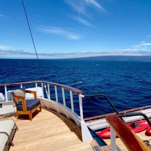 Blair Underwood Instagram - Grateful for all of you and all of your kind Birthday wishes on this day. Hard to believe another lap around the sun… already. Lol. Wishing you all a beautiful day, as well! #galapagosislands, @quasarex & @howelltalentrelations
#quasarexpeditions, #evolutionyacht,
#travelpartner