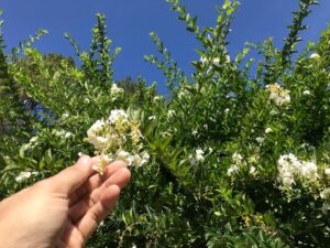 Bloom Varin Instagram - 