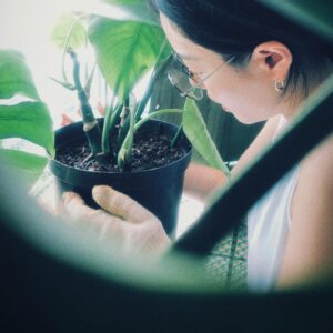 Blue Lan Instagram - 我種過九層塔、迷迭香、甜菊、薄荷、百里香、羅勒、辣椒、黃金葛、常春藤、兔腳蕨、文竹、龜背芋，種植物的過程和結果會讓我感到挫敗、驚喜、困惑、緊張、快樂；學習到觀察、感受、堅持、耐心與放下。

我會忘記當下是烈日當頭還是夜闌人靜，愣愣的盯著土，然後再看著葉子，看完老葉，又接著看嫩芽，直到我覺得，你們到底要說什麼我聽不懂！或是我想我這次應該有聽懂！才甘願離開我的植物。

我覺得，要跟一個生命好好相處，相處到能夠開花結果開枝散葉，沒有別的捷徑，就是瞭解它，每一個階段的它。

#植物 #plants