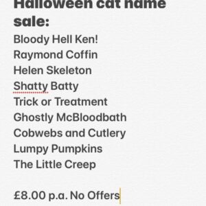 Bob Mortimer Instagram - 