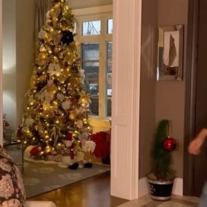 Boman Martinez-Reid Instagram - Every Bomanizer Christmas episode from the Bomanizer cinematic universe 🎄🤭🎄(@eden.graham @anabee_martinez @alyssanjmichael)
•
First photo by the legendary @jpg.eden ily 💛💛💛