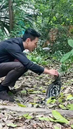 Bosco Wong Instagram - 呢隻貓實在太嗲啦！
