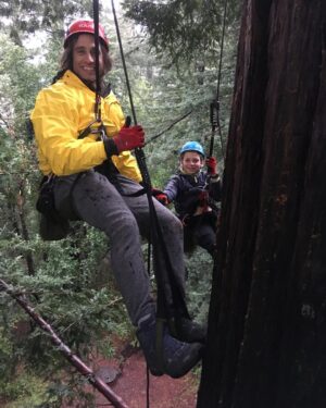 Brad Falchuk Instagram - More people have been on the summit of Mt. Everest than have climbed to the top of a giant redwood.  This is us about a third of the way up “Grandfather”. Brody was the youngest to ever do it.  #fathersandsons