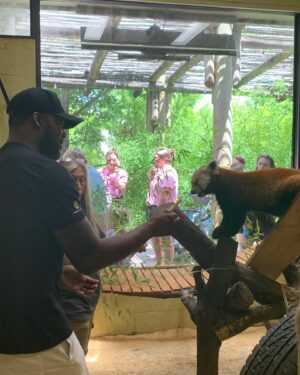 Brad Williams Instagram - Thank you to @ZooKnoxville for giving me a VIP tour before my show! It was awesome! Fed some red pandas, hung out with a 150 year old tortoise, and gave otters fish. The other patrons were probably staring at me like “they put the dwarfs in cages with the animals?”