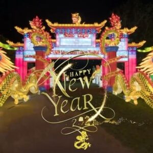 Bransha Gautier Instagram - 拜新年 🐲🧧✨ Chúc Mừng Năm Mới ✨♥️🥂HapPy Lunar New Year# 🧧 🐲
#lunarnewyear #theyearofdragon2024 #dragonyear2024 #dragonyear #chinesenewyear #chinesenewyear2024 #branshagautier #newmoon #dragon #dragonart #vietnamesenewyear