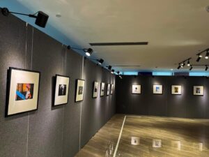 Bransha Gautier Instagram - 很荣幸在杭州萧山国际人才俱乐部艺术中心举办个展。本次展览由萧山国际人才俱乐部和AAmA国际艺术中心协办，杨飞担任制片人，罗琦担任学术总监。
我无限感谢罗琦教授和整个团队创造了如此精彩的活动 💙✨🙏
#hangzhou #hangzhou_china #china #chinatravel #china🇨🇳 #chineseculture #artnews #artaroundtheglobe #artaroundtheworld #artexhibitions #soloexhibition #soloartshow #photographyexhibition #branshagautier #artnerd #artnews #artpress #chinalife